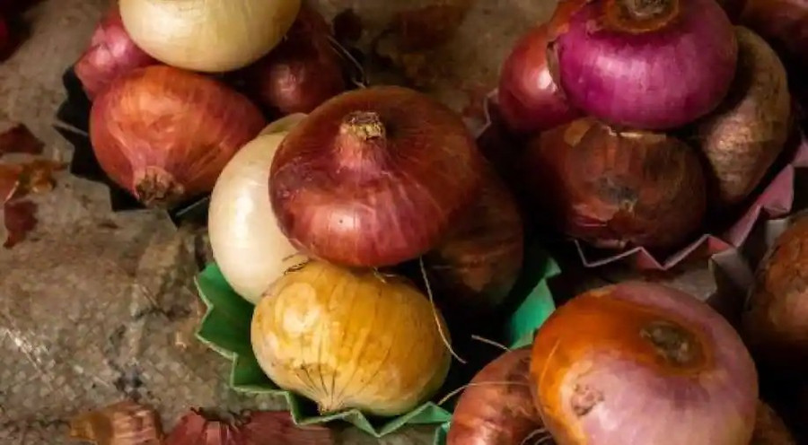 Một trong những phong tục ngày Tết của người Hy Lạp là treo một củ hành tây trước cửa nhà. Ảnh: AFP