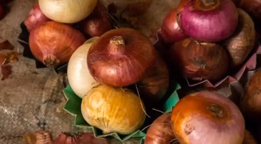 Một trong những phong tục ngày Tết của người Hy Lạp là treo một củ hành tây trước cửa nhà. Ảnh: AFP