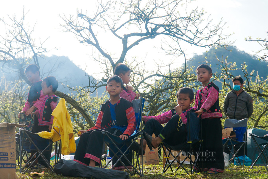  Trước và trong khoảng thời gian này, người Mông nôn nao đón Tết, phụ nữ miệt mài thêu thùa áo mới, đàn ông mua sắm lợn gà làm mâm cơm Tết, trong khi đó những đứa trẻ diện những bộ váy, áo đẹp nhất rong chơi khắp các bản làng. Văn hóa ngày Tết của người Mông thêm rộn rã qua điệu múa xòe ô và tiếng khèn réo rắt.