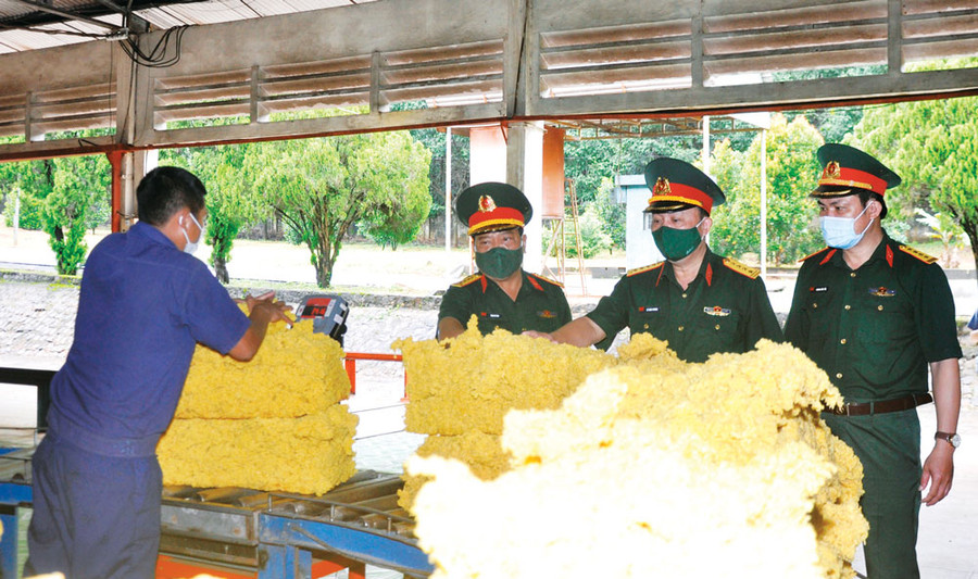 Lãnh đạo Công ty 75 kiểm tra sản phẩm mủ cao su. Ảnh: Thiên Thanh Lãnh đạo Công ty 75 kiểm tra sản phẩm mủ cao su. Ảnh: Thiên Thanh