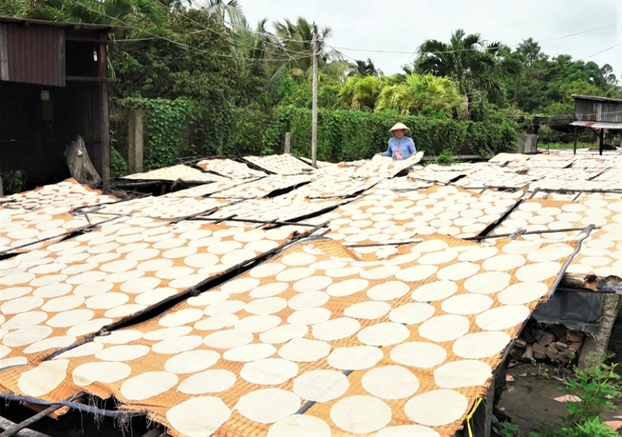  Làng nghề bánh phồng Phú Mỹ trăm năm tuổi tất bật mỗi độ xuân về. Ảnh: CTV.