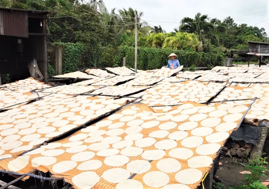  Làng nghề bánh phồng Phú Mỹ trăm năm tuổi tất bật mỗi độ xuân về. Ảnh: CTV.