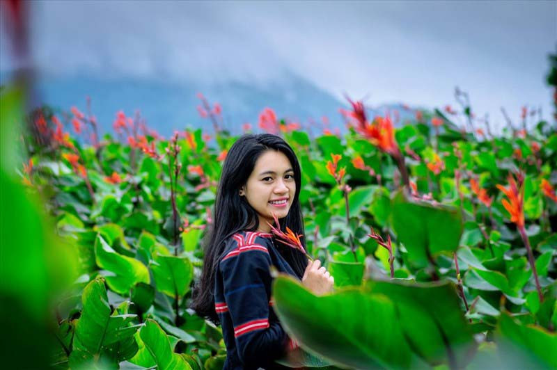 Thiếu nữ bên hoa dong riềng. Ảnh: Doãn Vinh