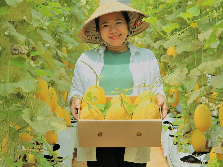 Chị Hoài Thanh trên đất trồng cây trái sạch của mình. Ảnh: NHÃ THI