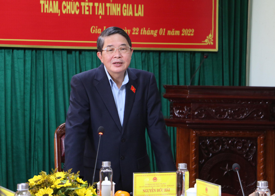 Phó Chủ tịch Quốc hội Nguyễn Đức Hải phát biểu tại buổi làm việc. Ảnh: Phương Dung