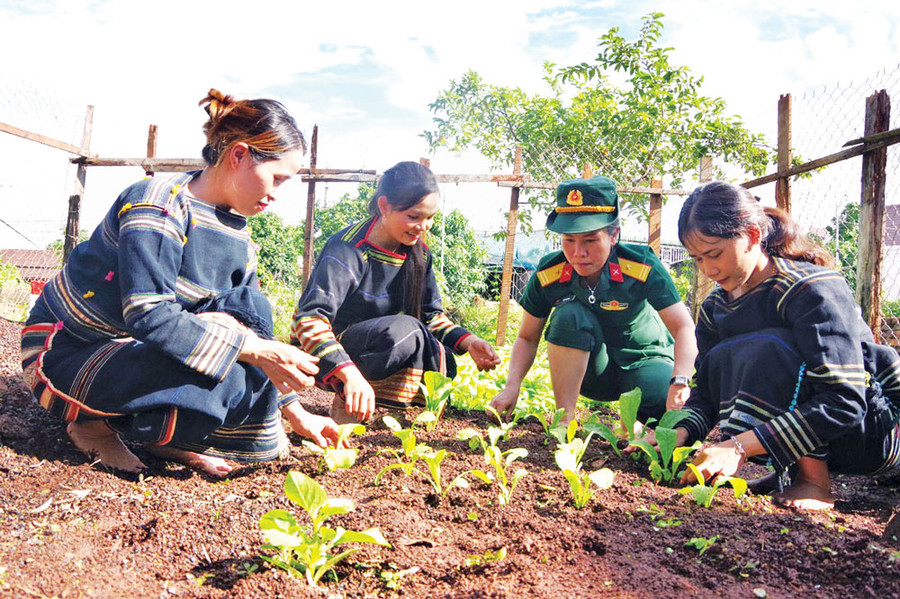 Mô hình vườn rau xanh của phụ nữ Công ty 72 được đông đảo hội viên hưởng ứng. Ảnh: Thiên Thanh Mô hình vườn rau xanh của phụ nữ Công ty 72 được đông đảo hội viên hưởng ứng. Ảnh: Thiên Thanh