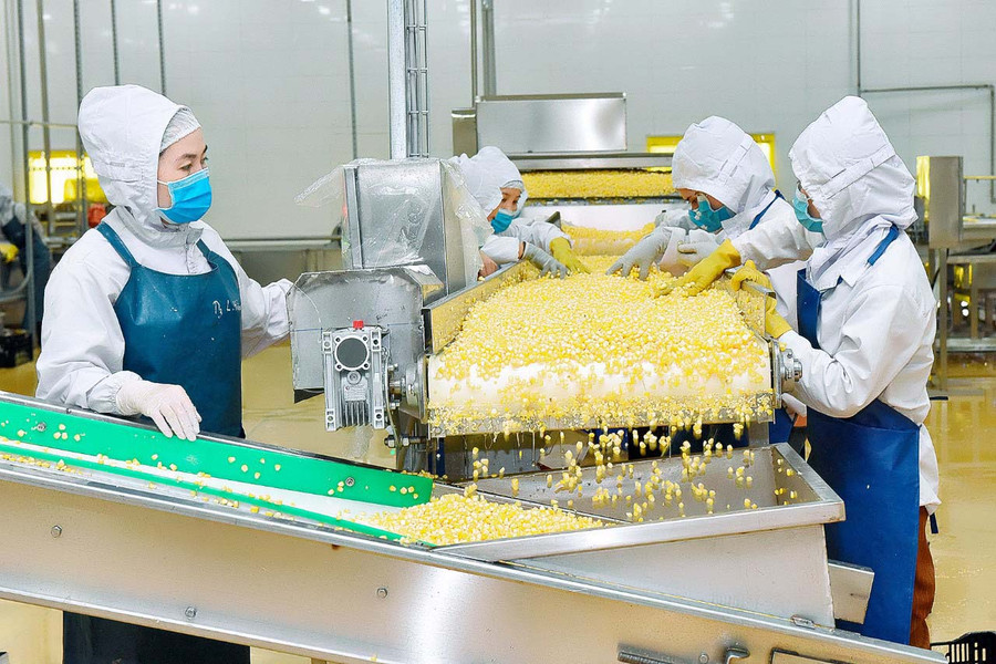 Rau quả chế biến là một trong các mặt hàng xuất khẩu chủ lực của tỉnh. Ảnh: P.V