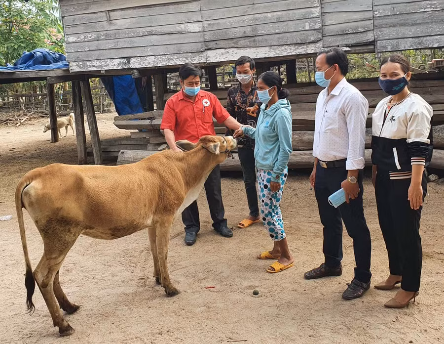 Hội CTĐ huyện Phú Thiện trao bò giống sinh sản cho gia đình bà Nay H’Chơk (buôn Chư Knông, xã Ia Hiao). Ảnh: Hồng Ngọc