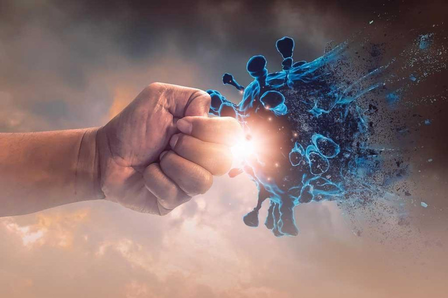 Có một loại thực phẩm cực kỳ quan trọng để ngăn ngừa Covid-19. Ảnh: Shutterstock