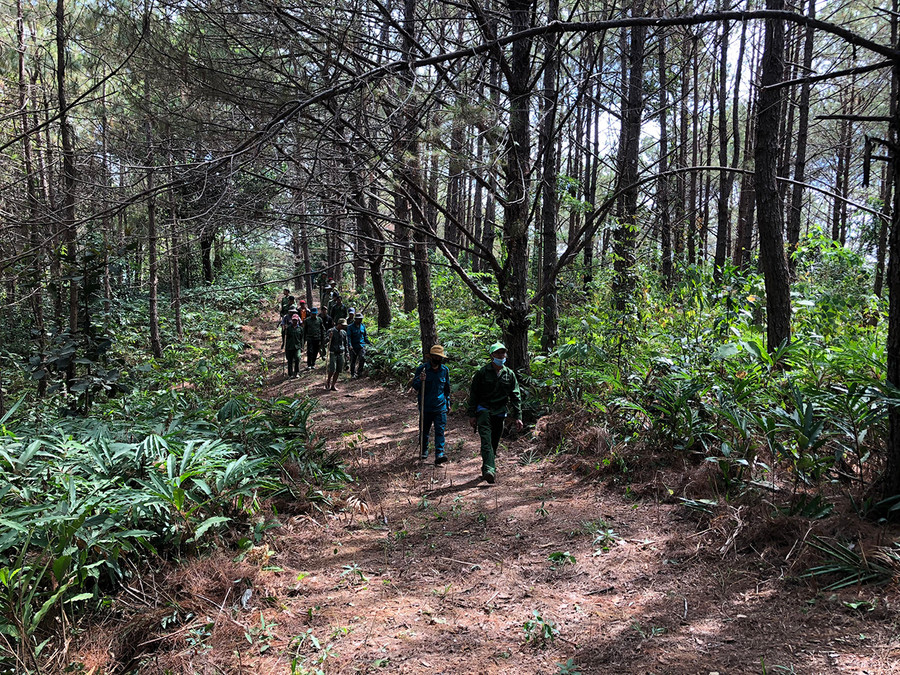 Lực lượng chức năng huyện Chư Păh tuần tra bảo vệ rừng. Ảnh: Lê Nam  Lực lượng chức năng huyện Chư Păh tuần tra bảo vệ rừng. Ảnh: Lê Nam