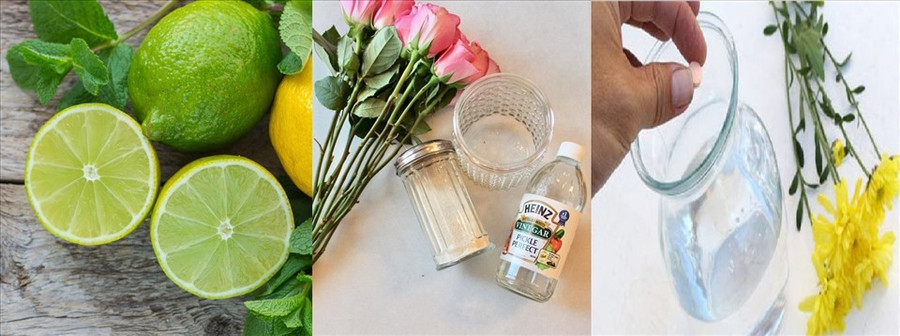 Chanh, giấm, vitamin B1... đều giúp hoa tươi lâu. Đồ họa: M.H