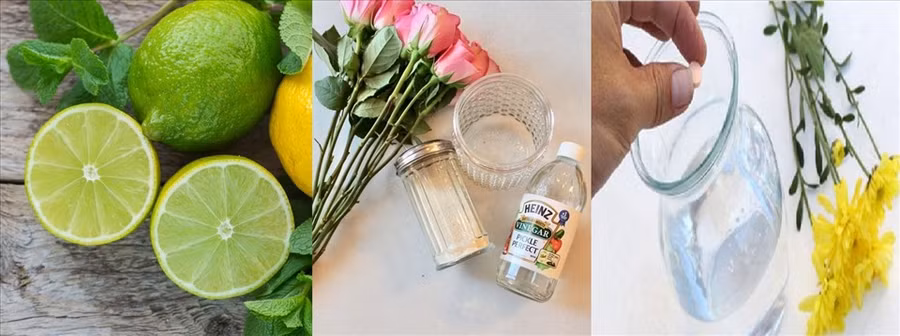 Chanh, giấm, vitamin B1... đều giúp hoa tươi lâu. Đồ họa: M.H