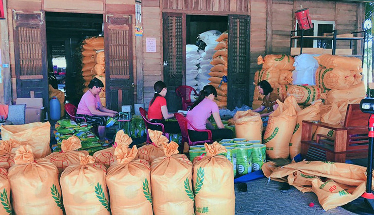 Những ngày này, tổ viên Hợp tác xã Quyết Tâm (xã An Nhơn) luôn làm việc liên tục từ 10 – 12 giờ/ngày đề đóng gói sản phẩm gạo nếp quýt cung cấp cho thị trường Tết Nguyên đán Nhâm Dần trong và ngoài tỉnh Lâm Đồng