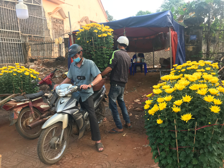 Người dân thị trấn Chư Prông mua hoa cúc về chơi Tết. Ảnh: Nguyễn Diệp