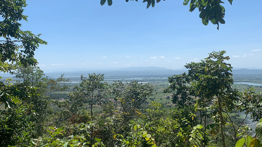 Ảnh minh họa. (Ảnh: Tường Quân/TTXVN) Ảnh minh họa. (Ảnh: Tường Quân/TTXVN)