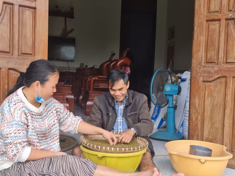 Vợ chồng anh Minh, chị Tuyền, thôn Hà Lương cho biết, hạt đậu xanh lòng không thể thiếu trong ngày Tết cổ truyền, đặc biệt dùng làm nhân bánh tét.