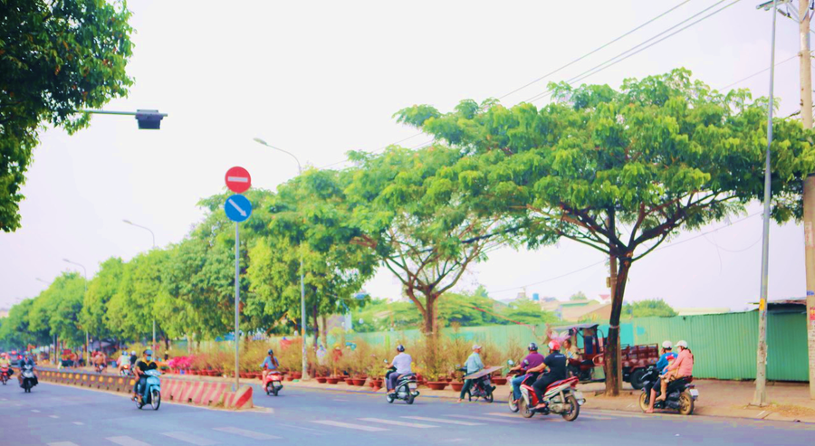 Một góc đường hoa Lê Thị Riêng, quận 12