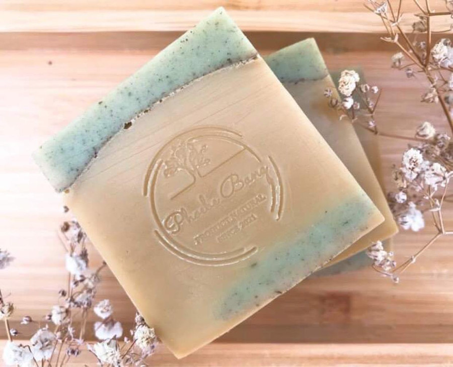 Lá và hạt bàng có thể được dùng để hỗ trợ chữa các bệnh liên quan đến tim mạch, táo bón, huyết áp, viêm nhiễm da, chống lão hoá, nhanh làm lành vết thương. Ảnh: Thanh Duy