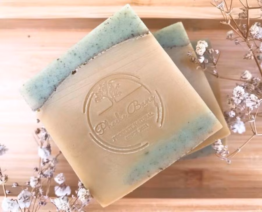 Lá và hạt bàng có thể được dùng để hỗ trợ chữa các bệnh liên quan đến tim mạch, táo bón, huyết áp, viêm nhiễm da, chống lão hoá, nhanh làm lành vết thương. Ảnh: Thanh Duy