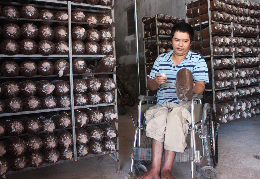 Anh Phạm Ngọc Thịnh kiểm tra các phôi nấm. Ảnh: Thủy Bình