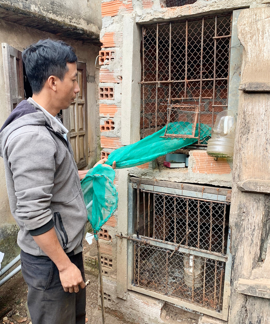 Khu vực nuôi nhốt 4 cá thể cầy vòi hương. Ảnh cơ quan chức năng cung cấp  Khu vực nuôi nhốt 4 cá thể cầy vòi hương. Ảnh cơ quan chức năng cung cấp