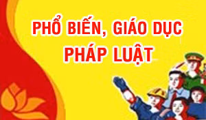  Hội đồng hướng dẫn, kiểm tra các bộ, cơ quan, tổ chức ở Trung ương, Hội đồng cấp tỉnh về công tác phổ biến, giáo dục pháp luật và hoạt động của Hội đồng phối hợp phổ biến, giáo dục pháp luật thuộc các bộ, cơ quan, tổ chức ở Trung ương, địa phương. Ảnh nguồn baochinhphu.vn