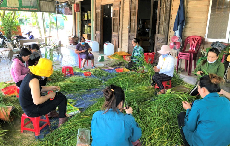 Bà con Tày, Nùng ở xã An Nhơn lựa chọn đòng đòng để chế biến ngâm rượu đòng đòng nếp quýt bán Tết