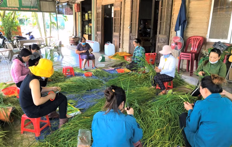 Bà con Tày, Nùng ở xã An Nhơn lựa chọn đòng đòng để chế biến ngâm rượu đòng đòng nếp quýt bán Tết