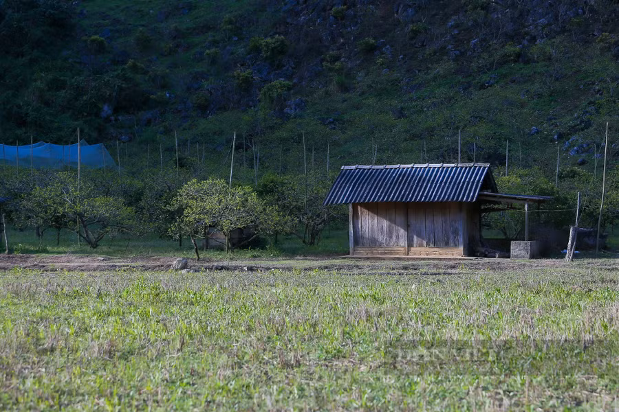 Là một hướng dẫn viên du lịch đã gắn bó nhiều năm với Mộc Châu, anh Hoàng Hải (Umove Adventure Travel) cho biết, hiện tại nhiều khách du lịch đang có xu hướng muốn trải nghiệm các cung đường đi qua các thung lũng ở Mộc Châu để khám phá và trải nghiệm những điều mới mẻ và hoà mình vào thiên nhiên đất trời tại đây. 