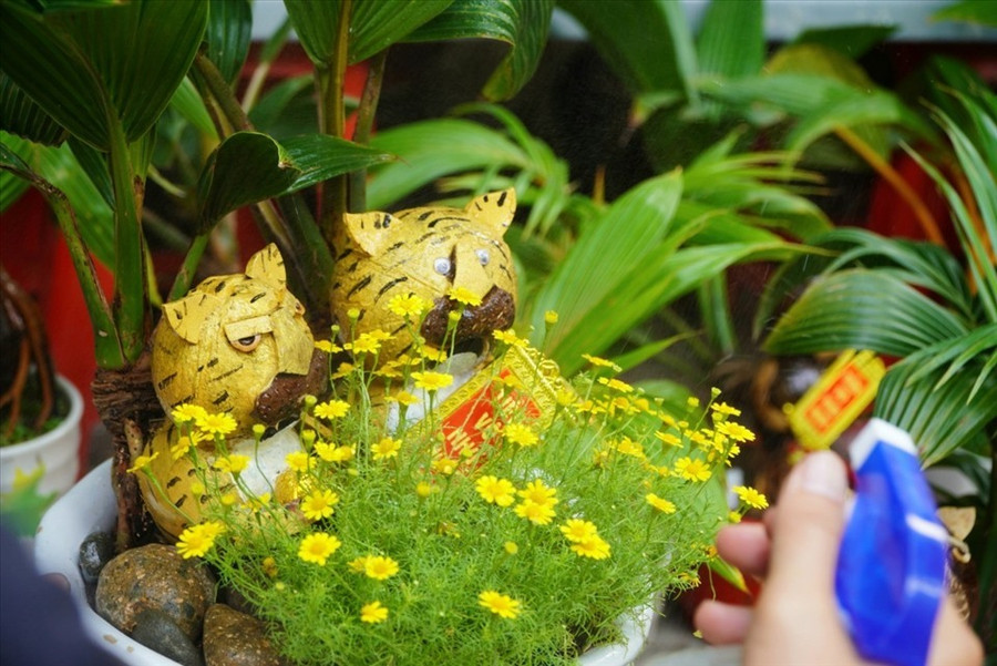 Chọn linh vật con Hổ để trang trí nhà dịp Tết. Ảnh: LĐO Chọn linh vật con Hổ để trang trí nhà dịp Tết. Ảnh: LĐO