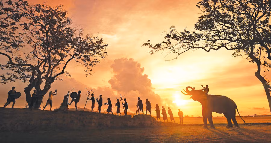 Âm vang đại ngàn. Ảnh: Hòa Carol