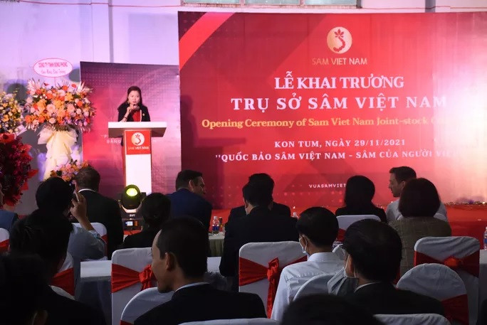 Tại lễ khai trương trụ sở, Công ty Cổ phần đầu tư Sâm Việt Nam đã thông tin đang sở hữu 10 ha sâm Ngọc Linh