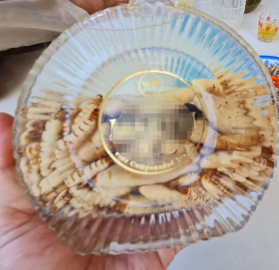 Nhiều người đã chuẩn bị rượu tự ngâm đãi khách dịp tết. Ảnh: D.T