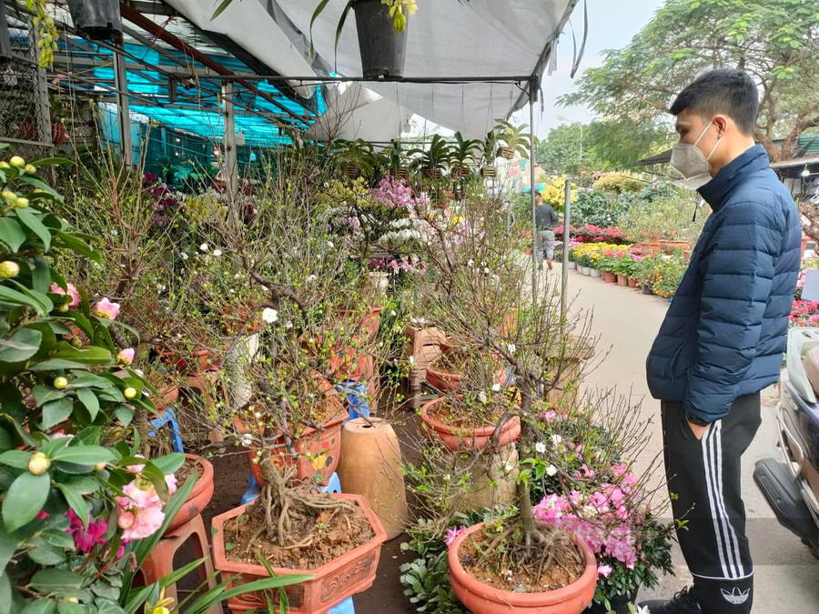 Nhiều vị khách phải dừng lại để ngắm những chậu hoa nhất chi mai với thế và dáng độc lạ. Nhiều vị khách phải dừng lại để ngắm những chậu hoa nhất chi mai với thế và dáng độc lạ.