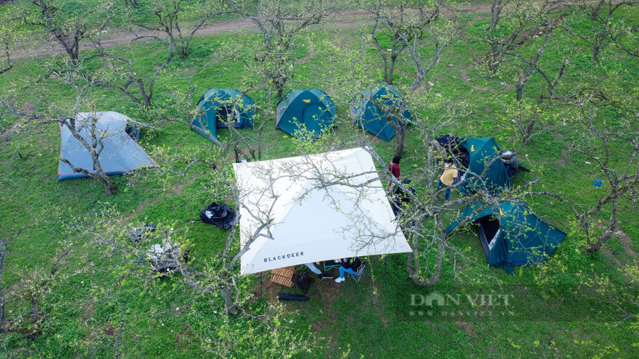 Nếu có nhu cầu hoà mình giữa vườn mận bạt ngàn trắng muốt, các du khách có thể trải nghiệm cắm trại, đốt lửa sinh hoạt tại những vườn mận của người bản địa.