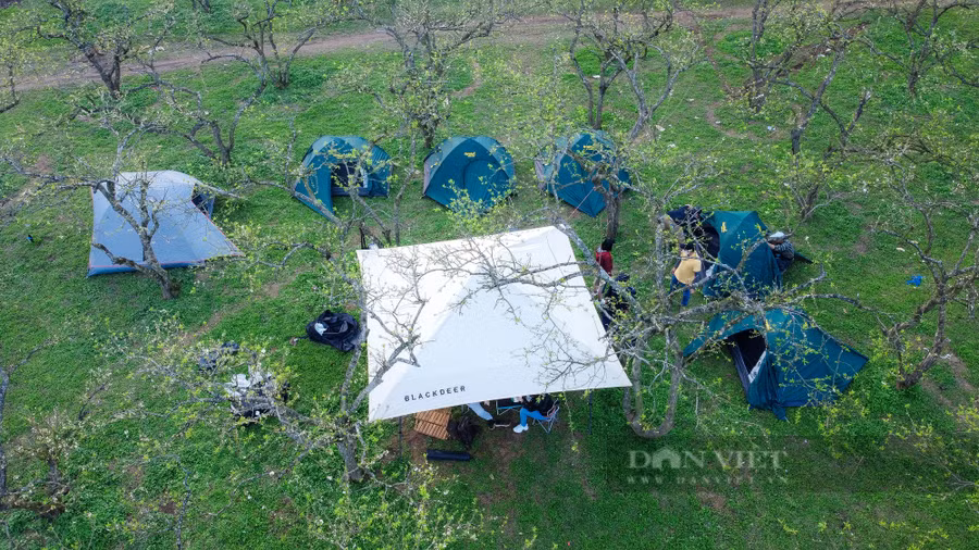 Nếu có nhu cầu hoà mình giữa vườn mận bạt ngàn trắng muốt, các du khách có thể trải nghiệm cắm trại, đốt lửa sinh hoạt tại những vườn mận của người bản địa.