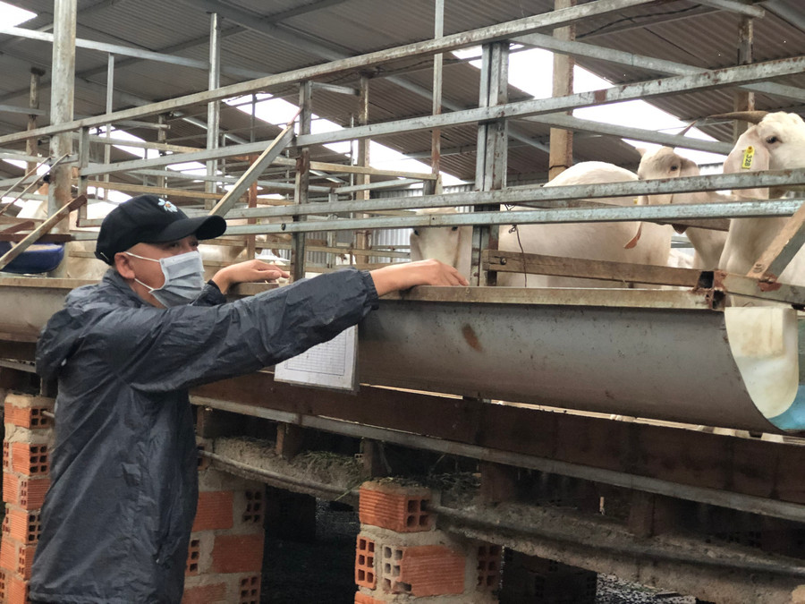 Ông Tú bên nông trại nuôi dê (2)