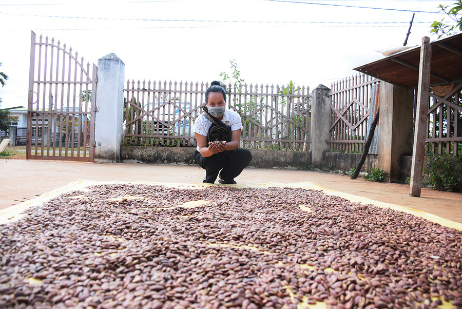 Với việc thu mua 50.000 đồng/kg nhân hạt, chị HUyên Nie (xã Ia Mơ Nông, huyện Chư Păh) đã giúp bà con có thêm thu nhập từ nhặt hạt kơ nia. Ảnh: Minh Triều