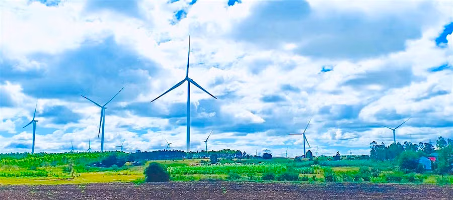 Những dự án điện gió không chỉ đem lại nguồn thu ngân sách mà còn góp phần tạo cảnh quan đẹp mắt, góp phần phát triển du lịch cho địa phương. Ảnh: Hồng Thi