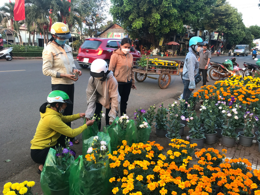 Hoa cát tường và vạn thọ lùn được người tiêu dùng Chư Prông mua nhiều. ẢNH: Nguyễn Diệp
