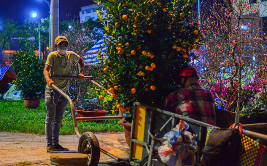 AnhThông (trái) đang vận chuyển quất cảnh lên xe vận chuyển đến tận nhà cho khách lúc nửa đêm. Ảnh: Huy Đạt AnhThông (trái) đang vận chuyển quất cảnh lên xe vận chuyển đến tận nhà cho khách lúc nửa đêm. Ảnh: Huy Đạt