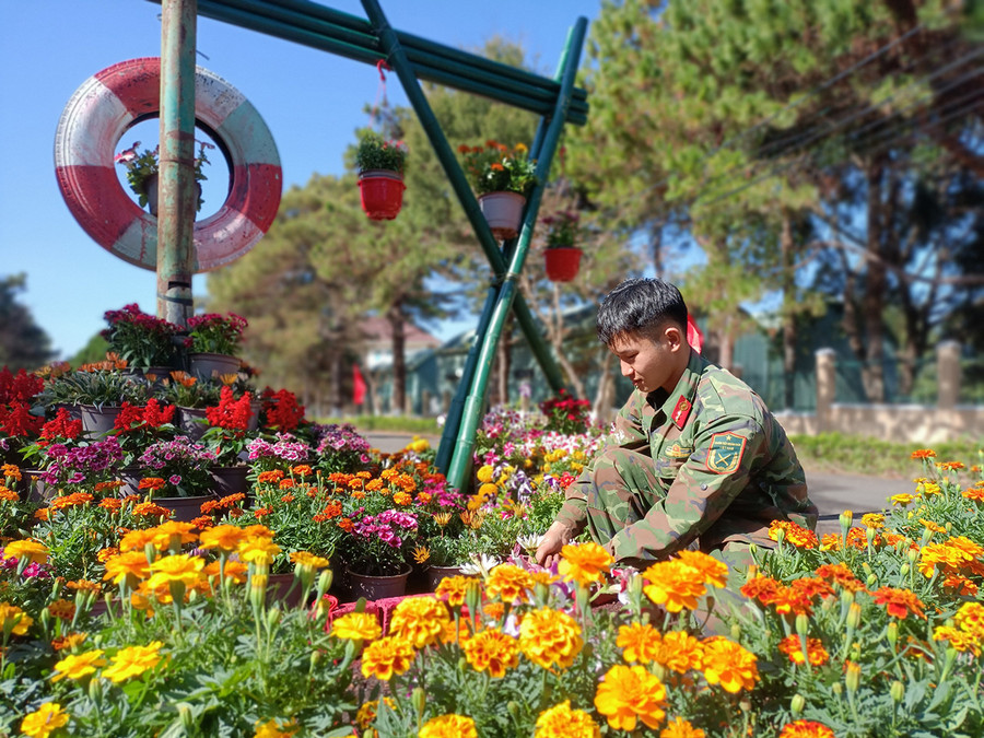 Trung sĩ Phạm Gia Vĩ đang sắp xếp các chậu hoa để làm thành hình ngôi sao 5 cánh. Ảnh: Anh Huy Trung sĩ Phạm Gia Vĩ đang sắp xếp các chậu hoa để làm thành hình ngôi sao 5 cánh.jpg