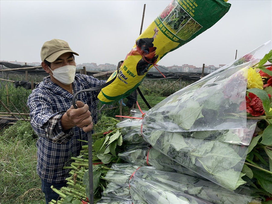 Chủ vườn hoa đang chất hoa lên xe để chở về nhà