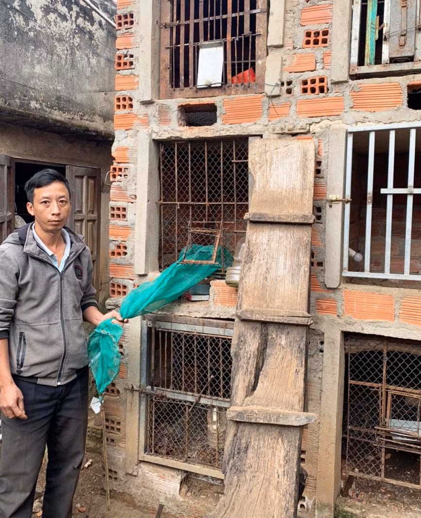 Khu vực nuôi nhốt 4 cá thể cầy vòi hương tại nhà ông Lâm( ảnh Cơ quan chức năng cung cấp).