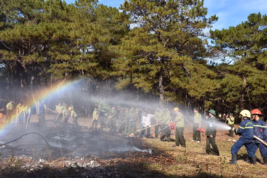 Các lực lượng tham gia gia diễn tập chữa cháy rừng 2020-2021. Ảnh: Lê Nam