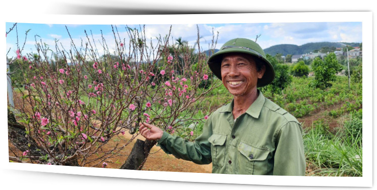 Với ông Chu Đức Lợi, điều quan trọng nhất là đã giữ được nét đẹp truyền thống lâu đời từ làng đào Nhật Tân ngay trên chính vùng quê mới Nam Ban