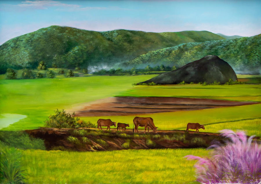 Miền quê yên ả với cánh đồng lúa chín vàng và ánh cỏ hồng...