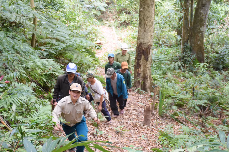 Kbang huy động cả hệ thống chính trị cùng Nhân dân tham gia công tác quản lý, bảo vệ và phát triển rừng. Ảnh: Minh Nguyễn Kbang huy động cả hệ thống chính trị cùng Nhân dân tham gia công tác quản lý, bảo vệ và phát triển rừng. Ảnh: Minh Nguyễn