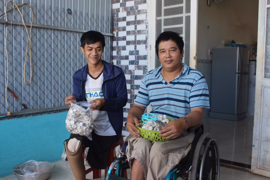 Vượt qua nỗi đau mất đôi chân, anh Phạm Ngọc Thịnh (bìa phải) cùng anh Nguyễn Thanh Phê đều có thu nhập ổn định từ nghề trồng nấm. Ảnh: Thủy Bình