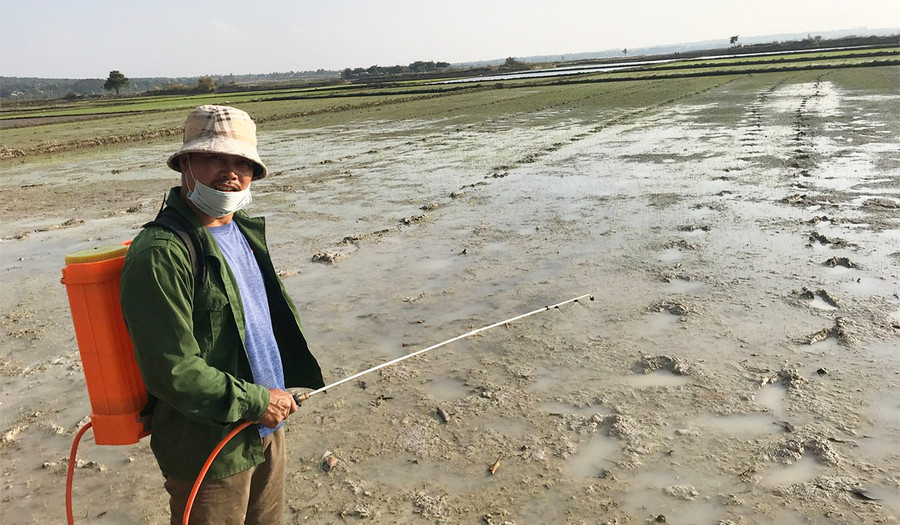  Bà con nông dân trong tỉnh đang tập trung chăm sóc cây trồng vụ Đông Xuân 2021-2022 đảm bảo sinh trưởng phát triển tốt, ngăn chặn sâu bệnh gây hại. Ảnh: Nguyễn Hồng